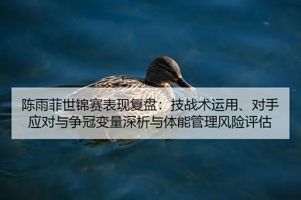 陈雨菲世锦赛表现复盘：技战术运用、对手应对与争冠变量深析与体能管理风险评估