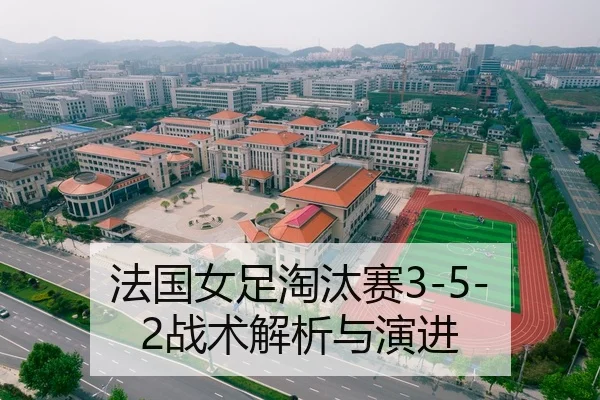 法国女足淘汰赛3-5-2战术解析与演进